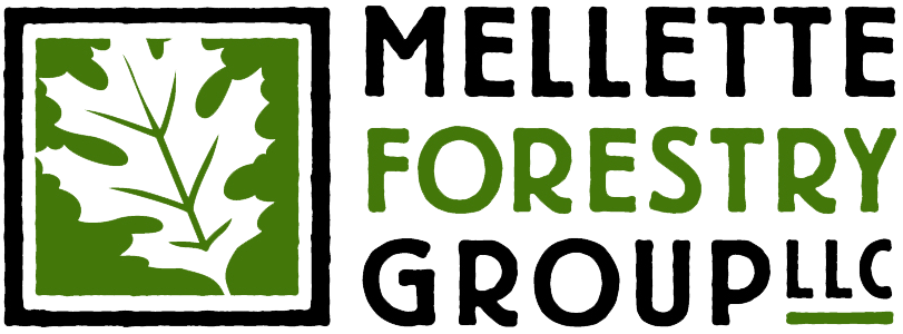 Mellette Forestry Group, LLC